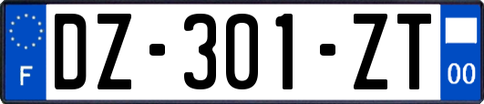 DZ-301-ZT