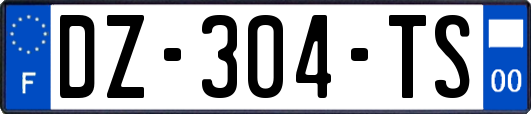 DZ-304-TS