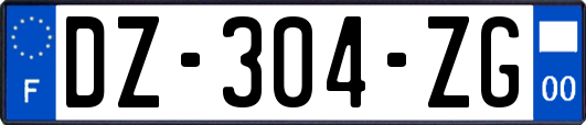 DZ-304-ZG