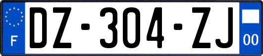 DZ-304-ZJ