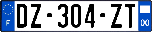 DZ-304-ZT