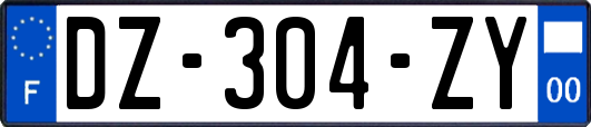 DZ-304-ZY