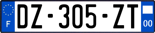 DZ-305-ZT