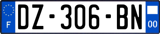 DZ-306-BN
