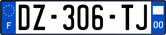 DZ-306-TJ