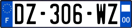 DZ-306-WZ