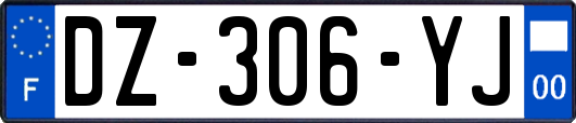 DZ-306-YJ