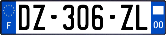 DZ-306-ZL