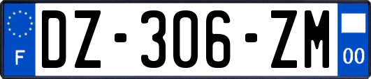 DZ-306-ZM