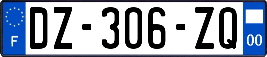 DZ-306-ZQ