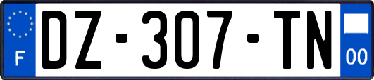 DZ-307-TN