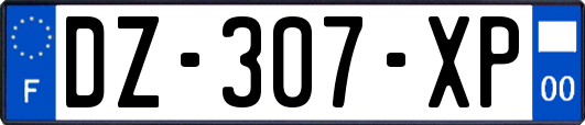 DZ-307-XP