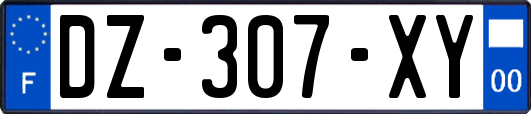 DZ-307-XY