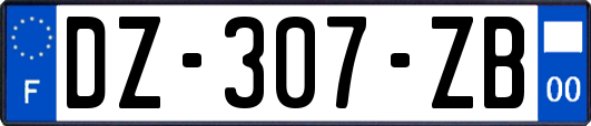 DZ-307-ZB