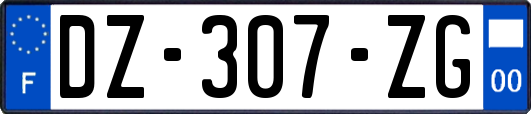 DZ-307-ZG