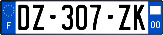 DZ-307-ZK