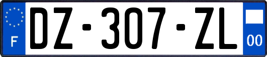 DZ-307-ZL