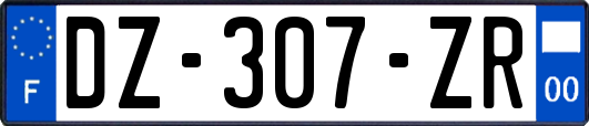 DZ-307-ZR