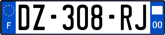 DZ-308-RJ