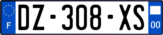 DZ-308-XS