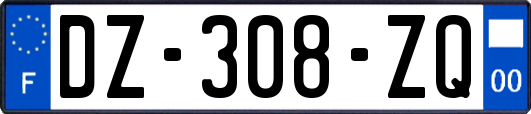 DZ-308-ZQ