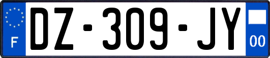 DZ-309-JY