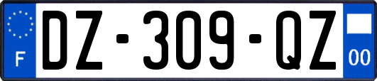 DZ-309-QZ