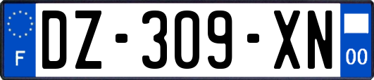 DZ-309-XN