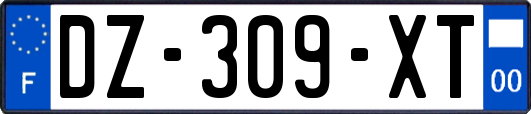 DZ-309-XT