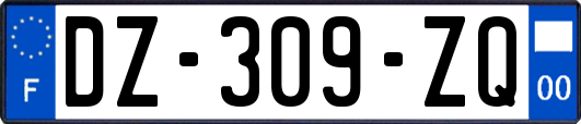 DZ-309-ZQ