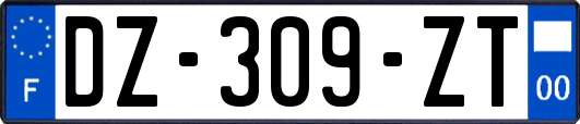 DZ-309-ZT