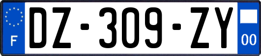 DZ-309-ZY