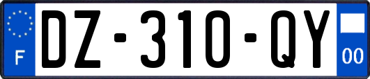 DZ-310-QY