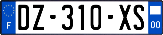 DZ-310-XS