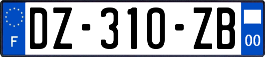 DZ-310-ZB