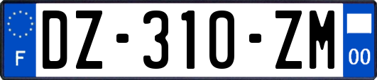 DZ-310-ZM