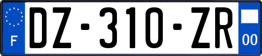 DZ-310-ZR