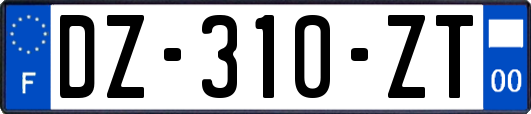 DZ-310-ZT