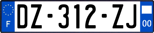 DZ-312-ZJ