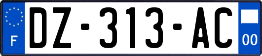 DZ-313-AC