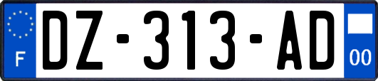 DZ-313-AD