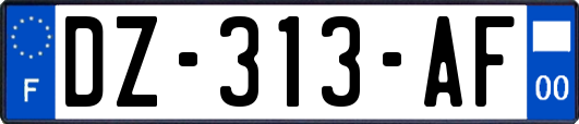 DZ-313-AF