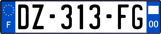 DZ-313-FG