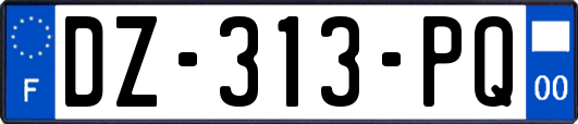 DZ-313-PQ