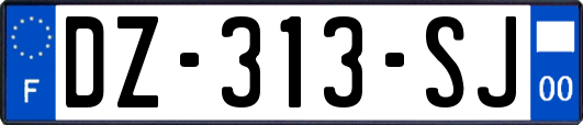 DZ-313-SJ