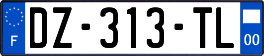 DZ-313-TL