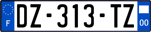 DZ-313-TZ