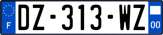 DZ-313-WZ