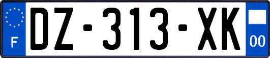 DZ-313-XK