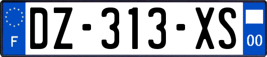 DZ-313-XS